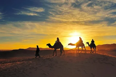Morocco Desert Excursions: The Complete Guide to Sahara Adventures